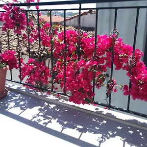Casa Magnolia Boutique Кушадасы
